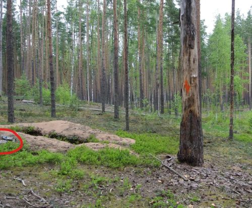 Молния и фистунатор на месте старого мемориала